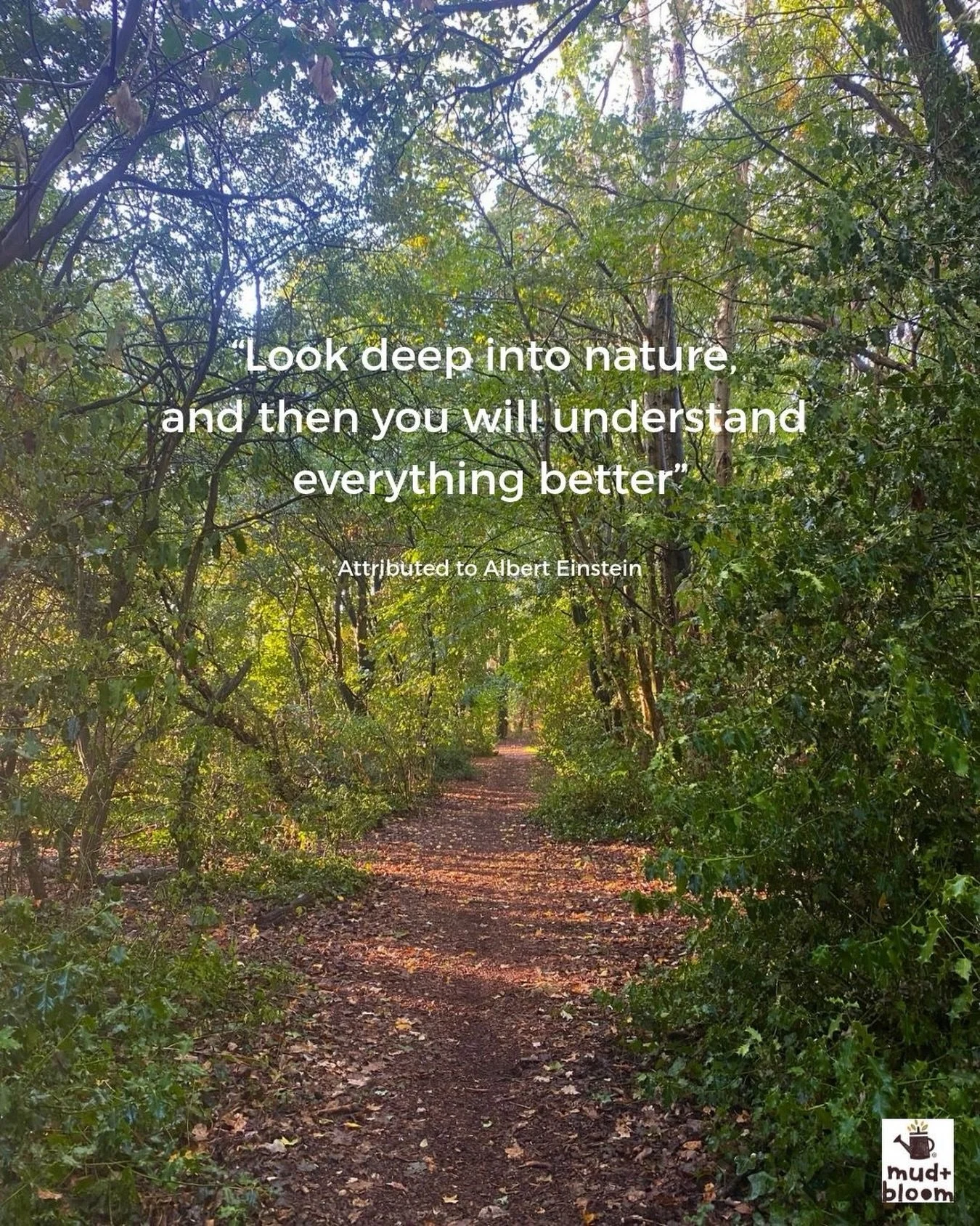 Photo from my run this morning 🍂 Very grateful to have such beautiful woodland and parks right on our doorstep here in Bristol 🌿

#natureconnection #getoutside #childrenandnature #bristolnature #mudandbloom
