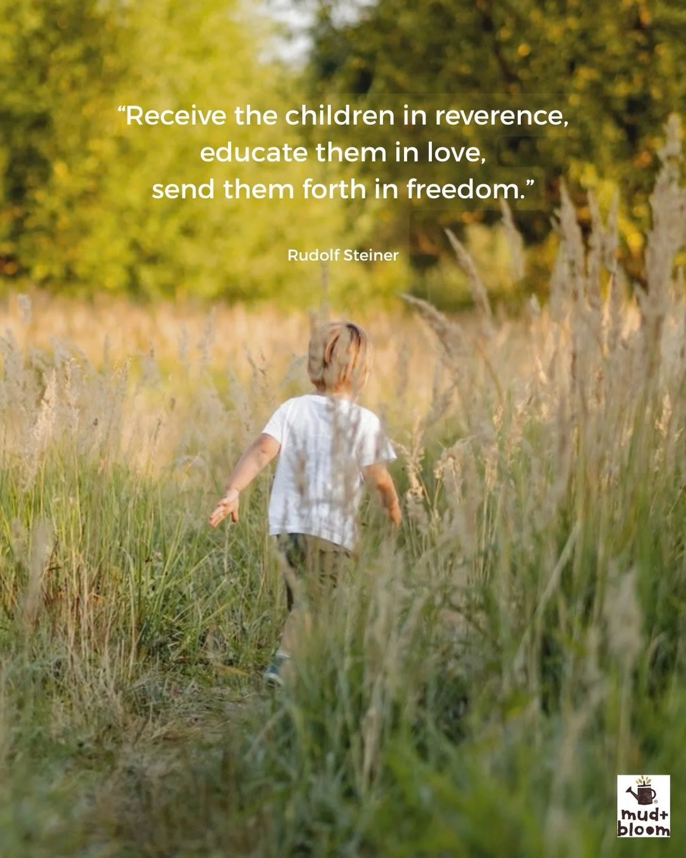 A beautiful reminder to nurture our children with love, respect and the freedom to find their own way🌿💛

#RudolfSteiner #WaldorfEducation #ChildhoodUnplugged #NatureChildhood #MudAndBloom