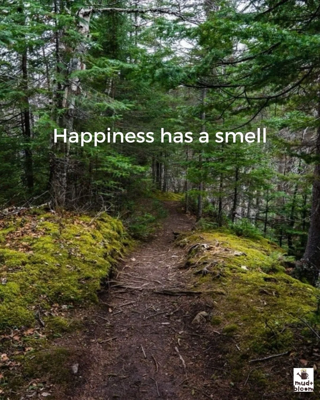 #NatureLovers #WoodlandWalks #NatureChildhood #GetOutside #MudAndBloom