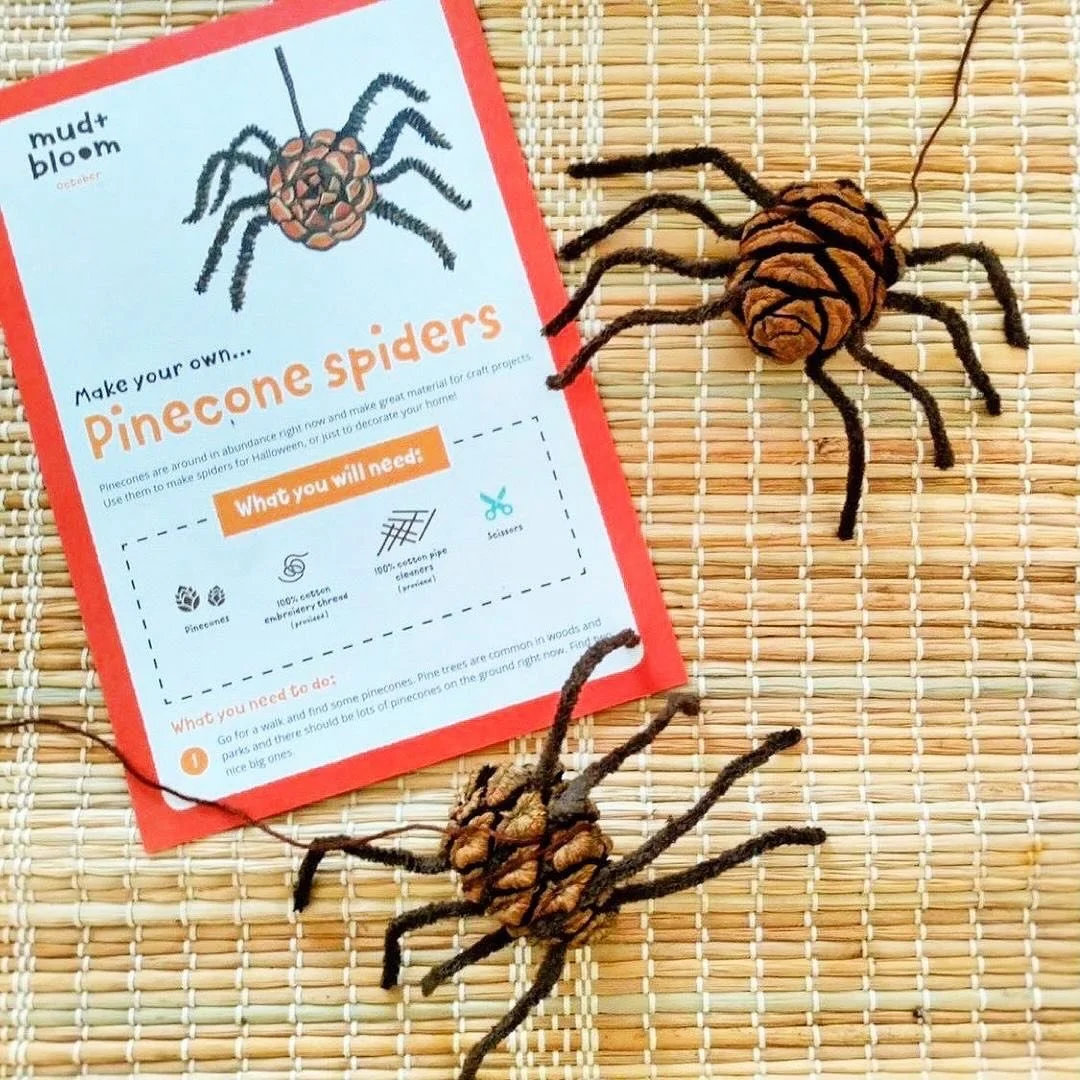 Make pinecone spiders 🕷️🌲

This is a lovely simple activity. It was one of the activities in a previous October box.

You just need pipe cleaners, embroidery thread and some pinecones! 

Check out our October for this year via the link in our profi