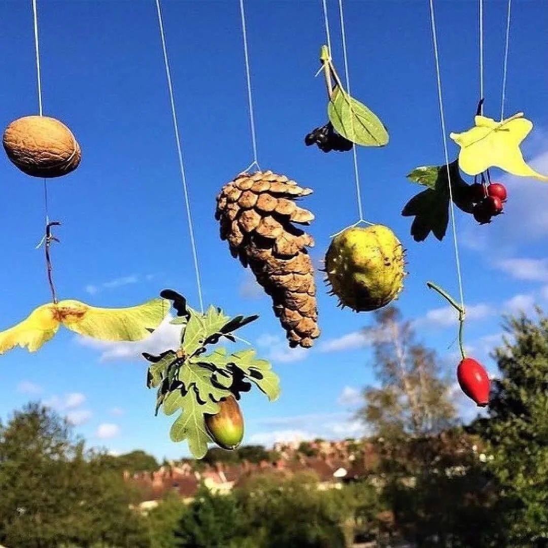 🍁 Make an autumn nature mobile 🌿✨

Autumn is full of little treasures just waiting to be collected: colourful leaves, conkers, acorns, seed heads, berries and pine cones 🍂

Turn your finds into a beautiful hanging nature mobile, one of the activit