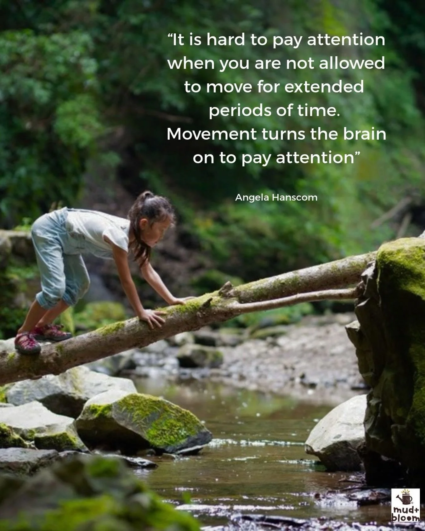 Movement, play and time outdoors help growing minds thrive 🌿💛

#OutdoorPlay #FreePlay #NatureKids #ChildhoodUnplugged #MudAndBloom