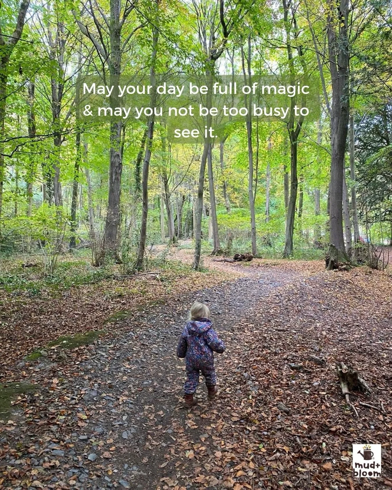 Happy Sunday 🌿💛

#mudandbloom #childhoodunplugged #naturekids #outdoorchildhood #natureconnection