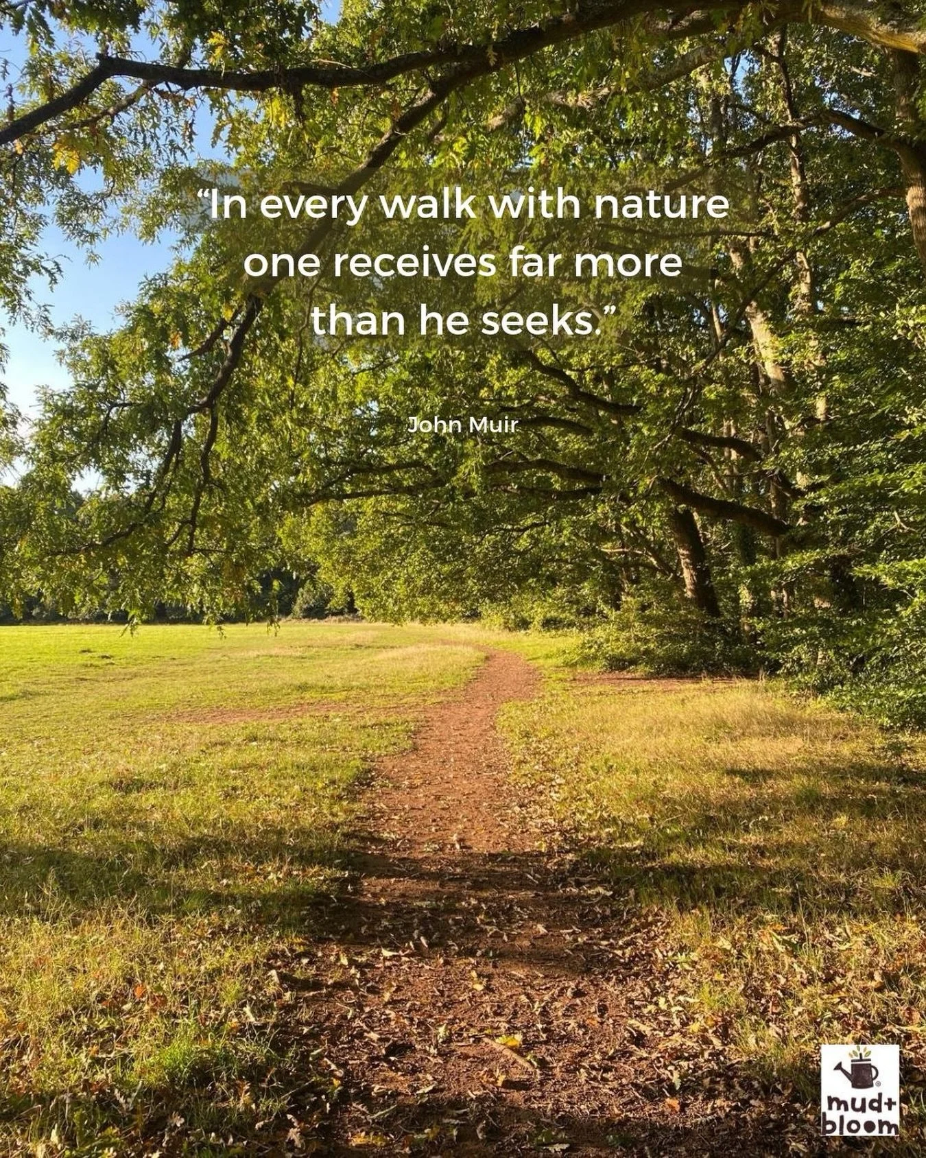 A little reminder to step outside, slow down and notice what&rsquo;s around you 🍂🌿

#mudandbloom #naturewithchildren #autumnwalks #getoutside #natureconnection