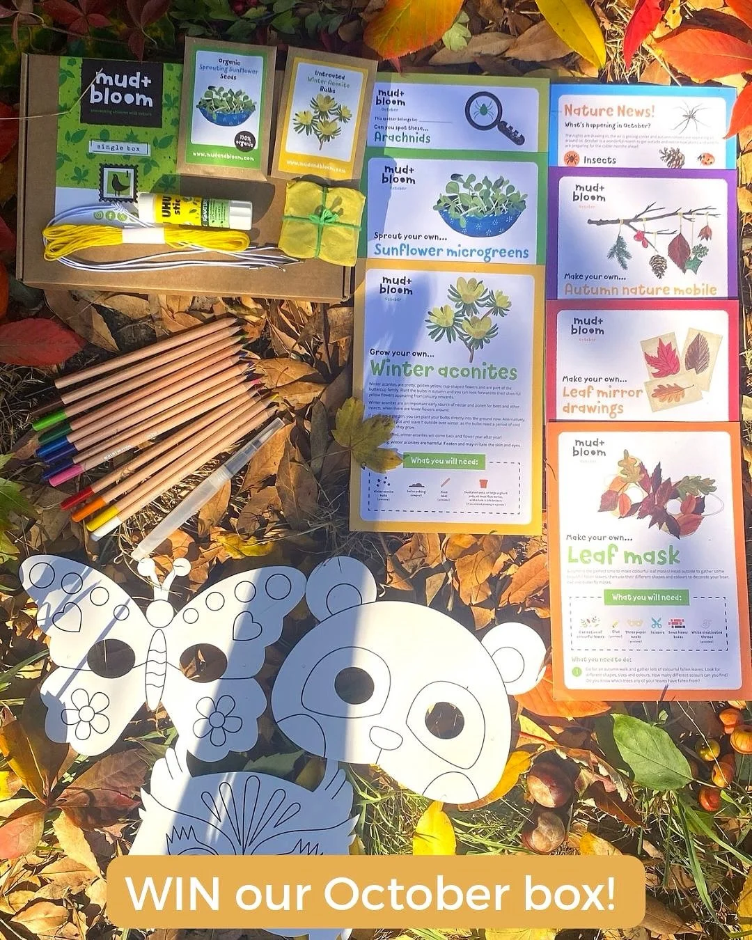 🍂 GIVEAWAY TIME! 🍁🌿

Win our October Mud &amp; Bloom Nature Crafts &amp; Gardening Box! 🌱

Our October box is packed with autumn activities to make, grow and discover. 🍂 Make beautiful leaf masks and an autumn nature mobile, create leaf mirror d