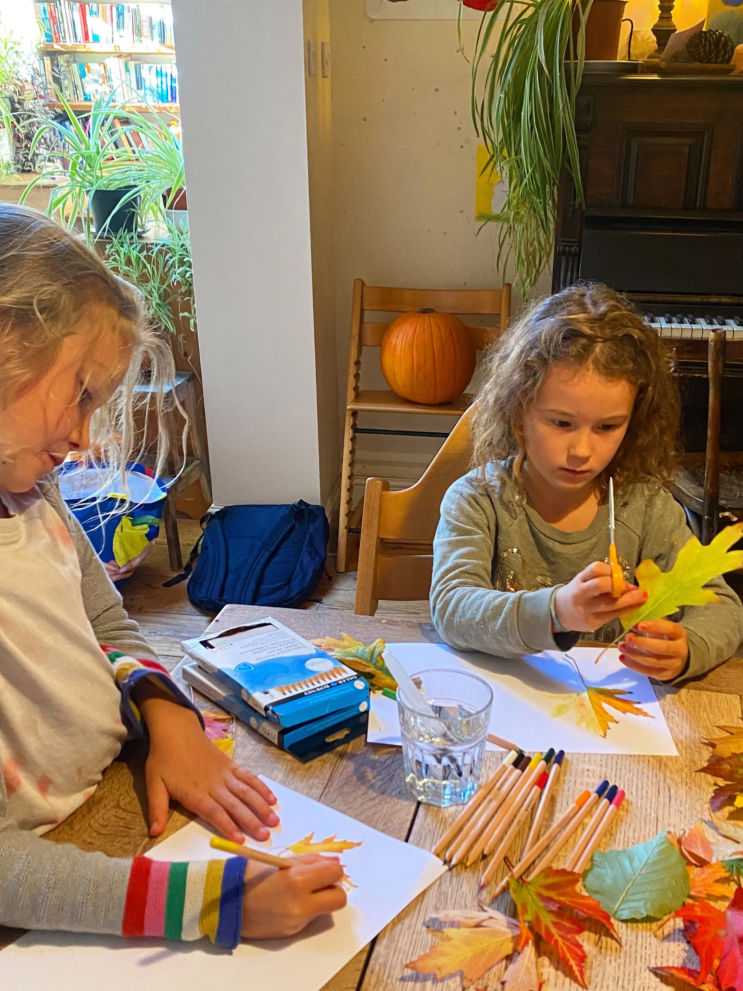 🍂 Leaf mirror drawings 🍁

I tried one of the activities from our October box today with my daughter and her cousin, and we all really enjoyed this one!

We collected lots of beautiful autumn leaves, cut them in half and then tried to draw the missi