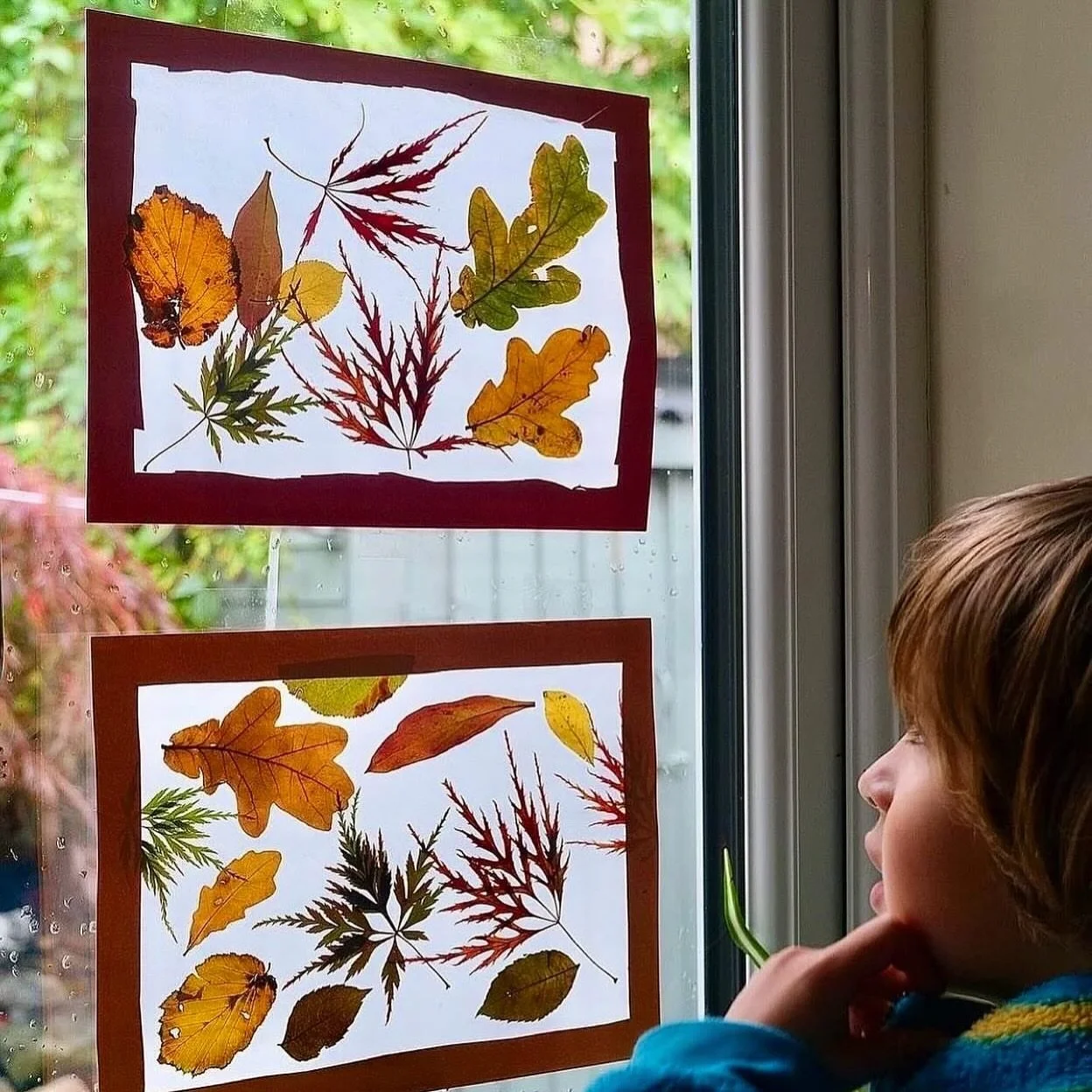 🍂 Make an autumn leaf window transparency 🍁

A simple way to bring all those beautiful autumn colours indoors. Collect and press some colourful leaves, then turn them into a lovely window transparency to catch the light. 🍁✨

All you need is some p