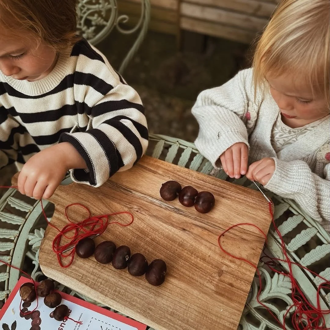 Make a wriggly conker snake! 🌰🐍

A lovely way to put all those collected conkers to good use! Thread them together to make a wriggly snake, then add a little face to bring it to life.

All you need are some fresh conkers, red yarn or wool, a thick 