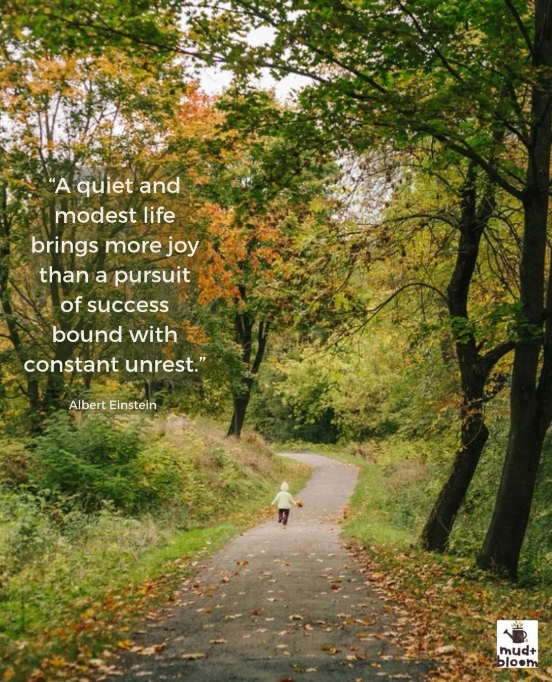 A little reminder to slow down and enjoy the simple things 🍂

#simplechildhood #slowliving #autumnmoments #childhoodunplugged #mudandbloom