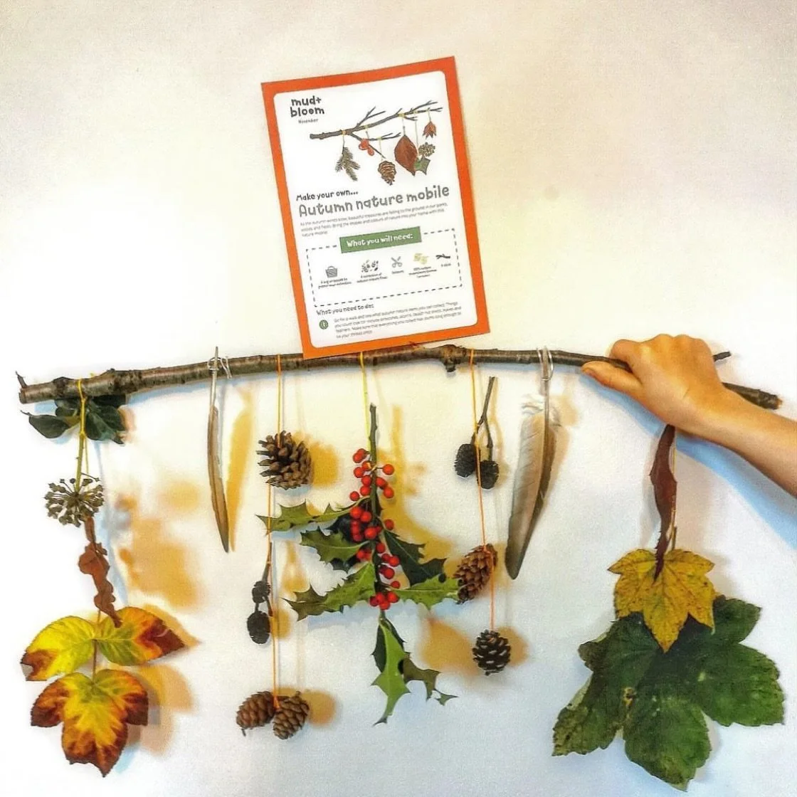 🍂 Make a nature mobile 🍂

A lovely nature activity to try this half term! Head outside to collect fallen leaves, pine cones, feathers and other autumn treasures, then hang them from a branch to create your own nature mobile. 🍁🌿

This was one of t