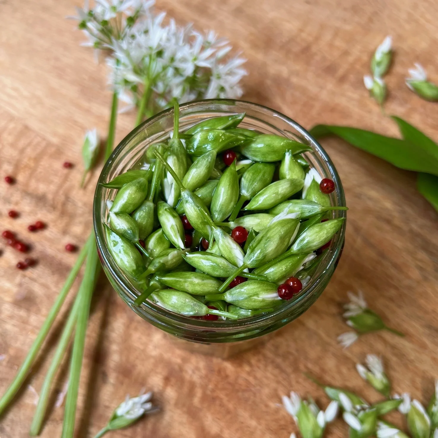 Make pickled wild garlic buds Mud & Bloom