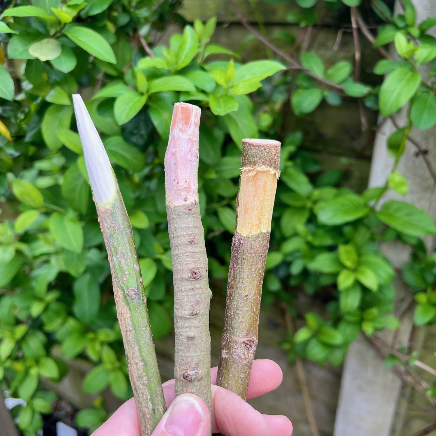 Whittled stick characters - Mud & Bloom