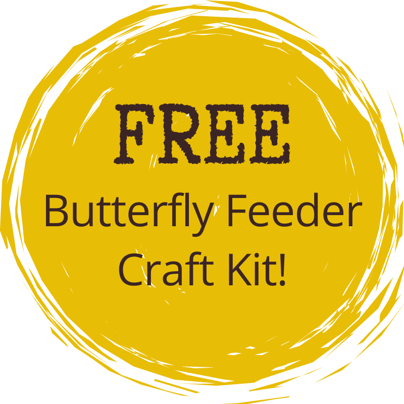 Free Butterfly Feeder Craft Kit!