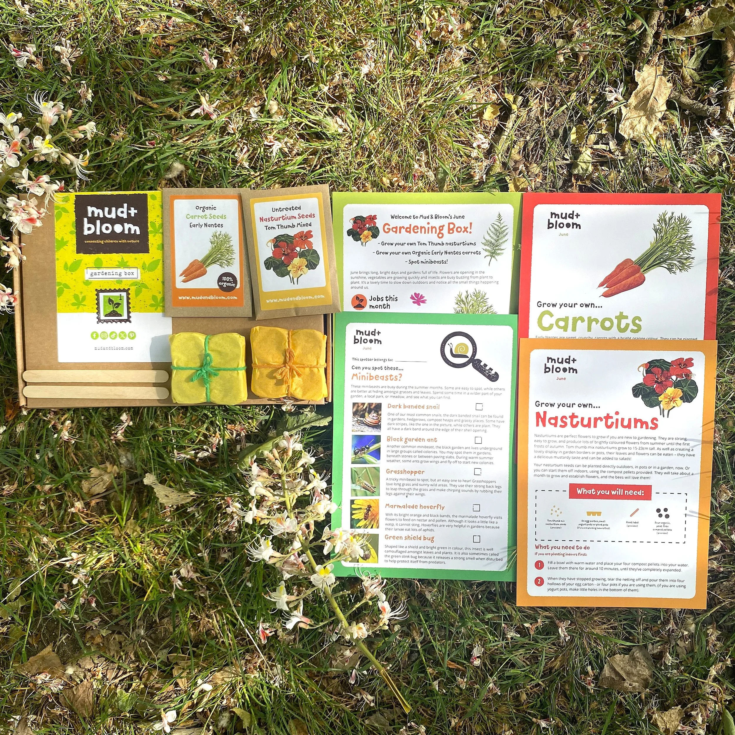 Information about gardening, seed planting, and insect identification displayed on cards and pamphlets, laid out on grass with small flowers and fallen leaves.