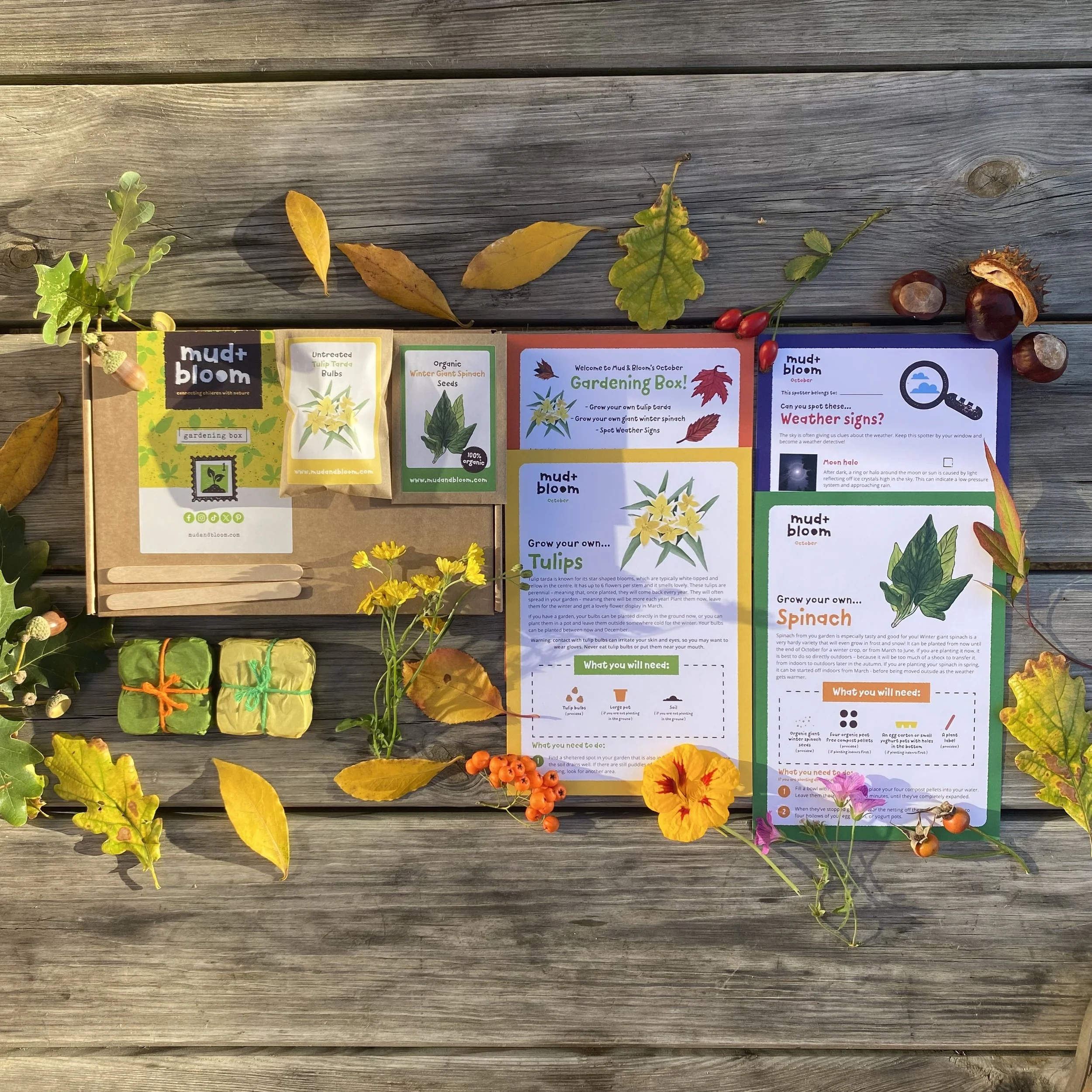 Mud & Bloom's October standalone gardening box, order as a one off box with no commitment