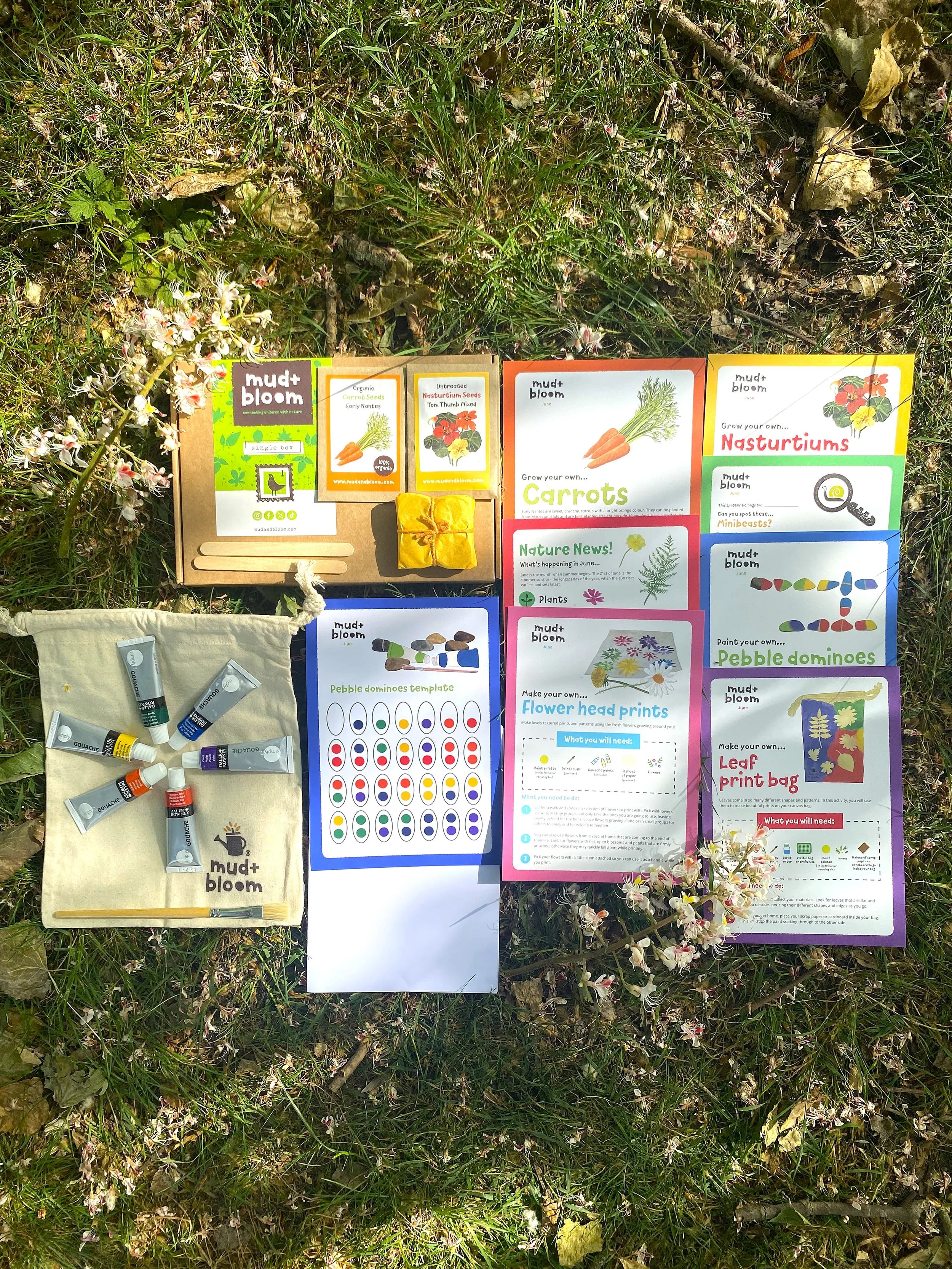 A set of gardening and planting activity instructions and supplies laid out on the grass. It includes seed packets, activity guides, a fabric bag with tubes of paint, and small jars of paint, all related to growing plants like carrots and nasturtiums.