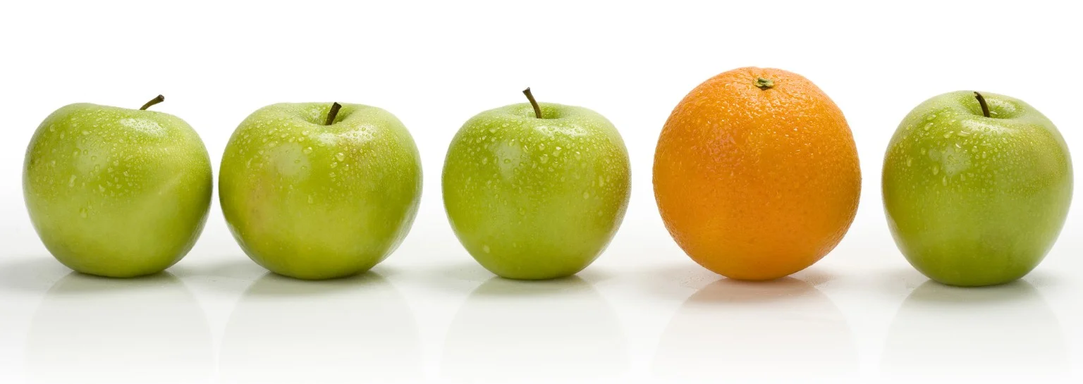 net_yield_gross_yield-1536x545.jpg