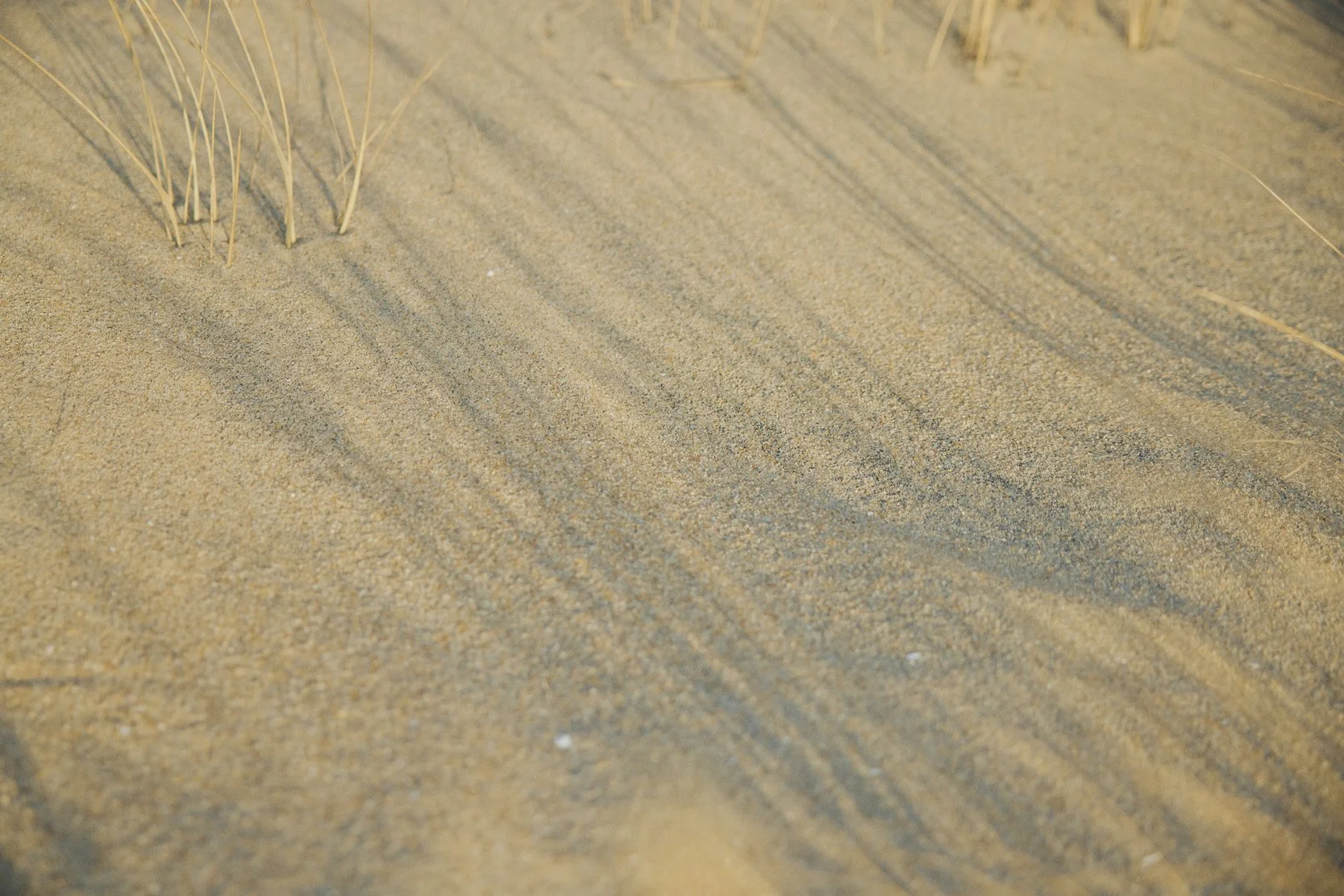 6Q5A4476.jpg