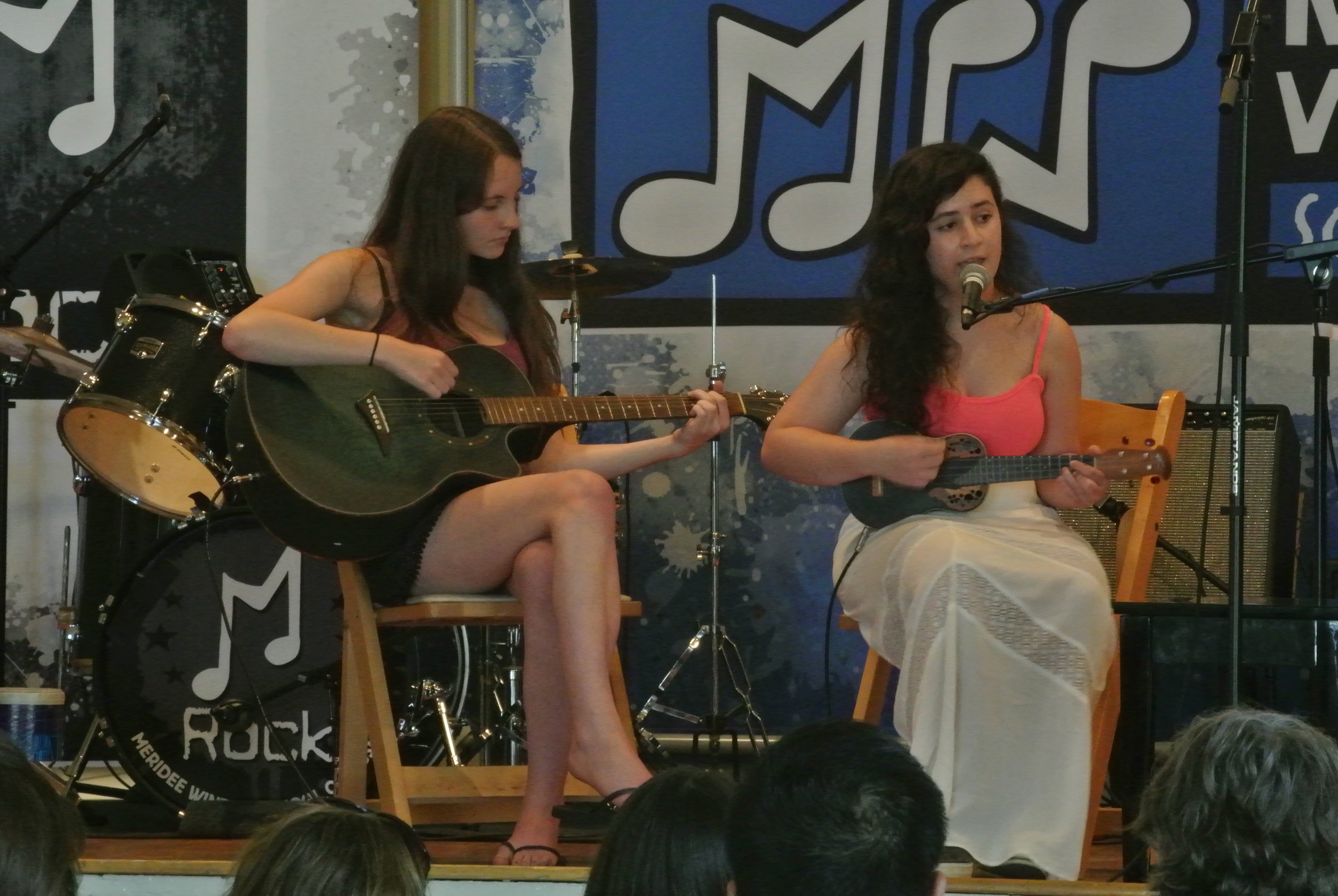 ukulele lessons bryn mawr pa in home main line 