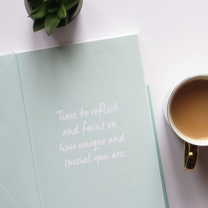 the-mood-booster-journal-dialogue-review.jpg