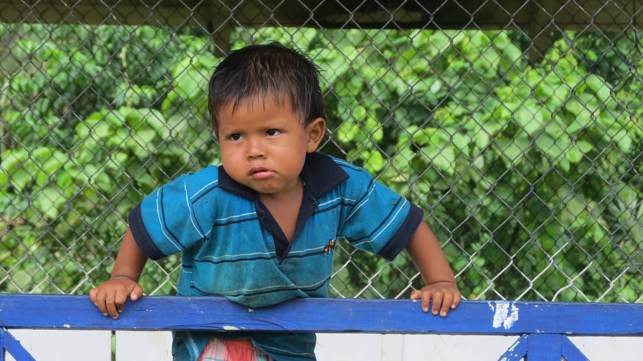 Huaorani children learn how to fish and hunt when they are around five years old to help support their community.