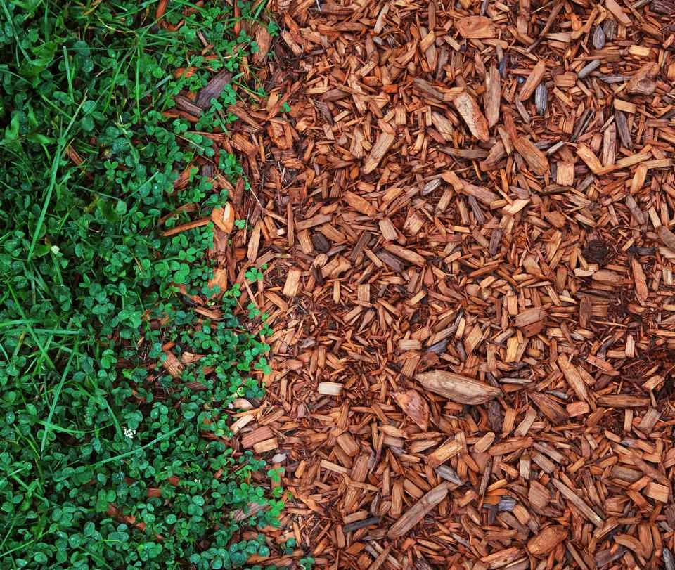 Jacksonville Mulch Service Jacksonville Lawn Care Service