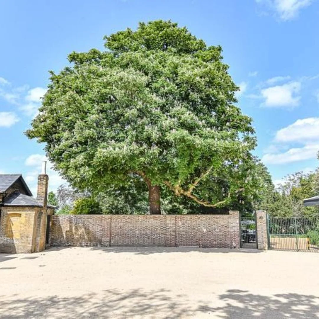 Cressingham Courtyard side.jpg