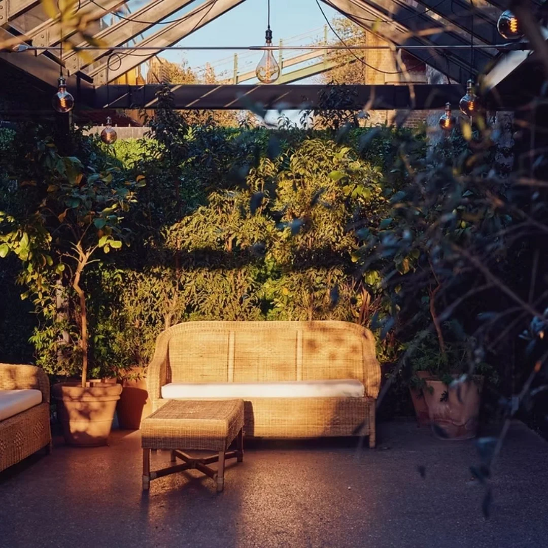 100 Barrington sunshine garden chair.jpg