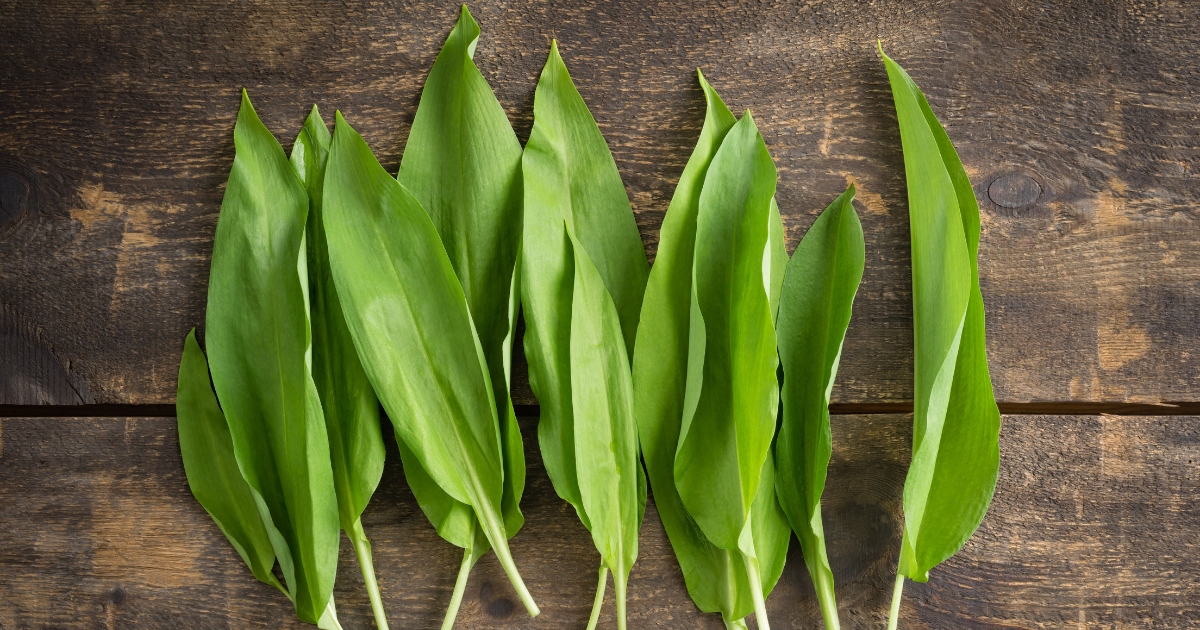 loose wild garlic on a wooden table