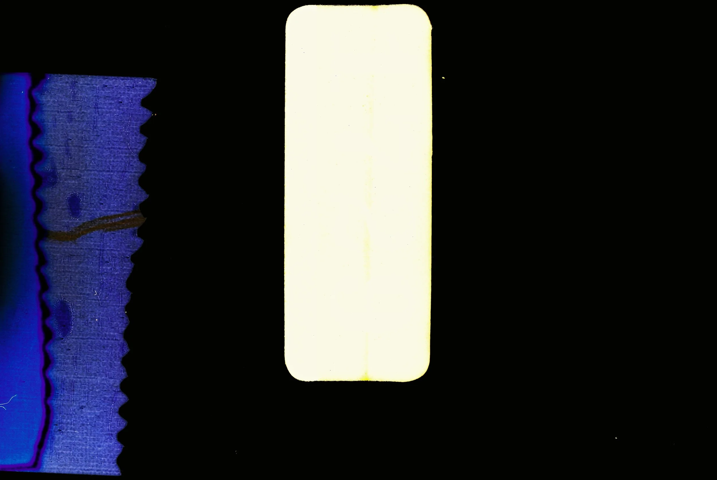 Divider 1.jpg