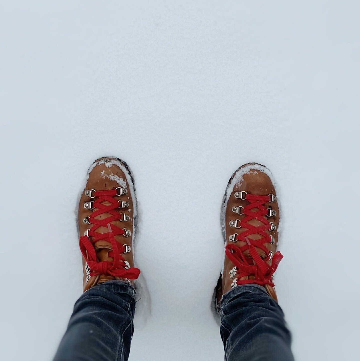 About to destroy this pristine white snow with these sturdy boots.⁠ #sorrynotsorry⁠
⁠
⁠
⁠
#dannerboots #dannermountainlight ⁠#latergram #winter #letitsnow #winterwonderland #snowday #greatoutdoors #exploremore #wanderlust #optoutside #exploretocreate