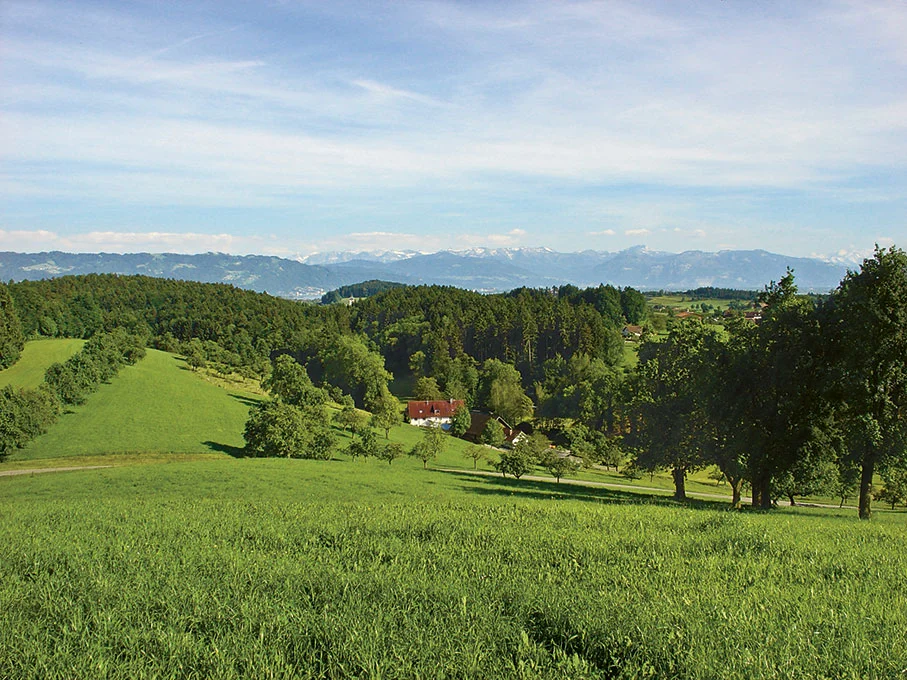 UweSteinmayer:AtelierAmSee:Martinsmuehle:Hinterland.jpg