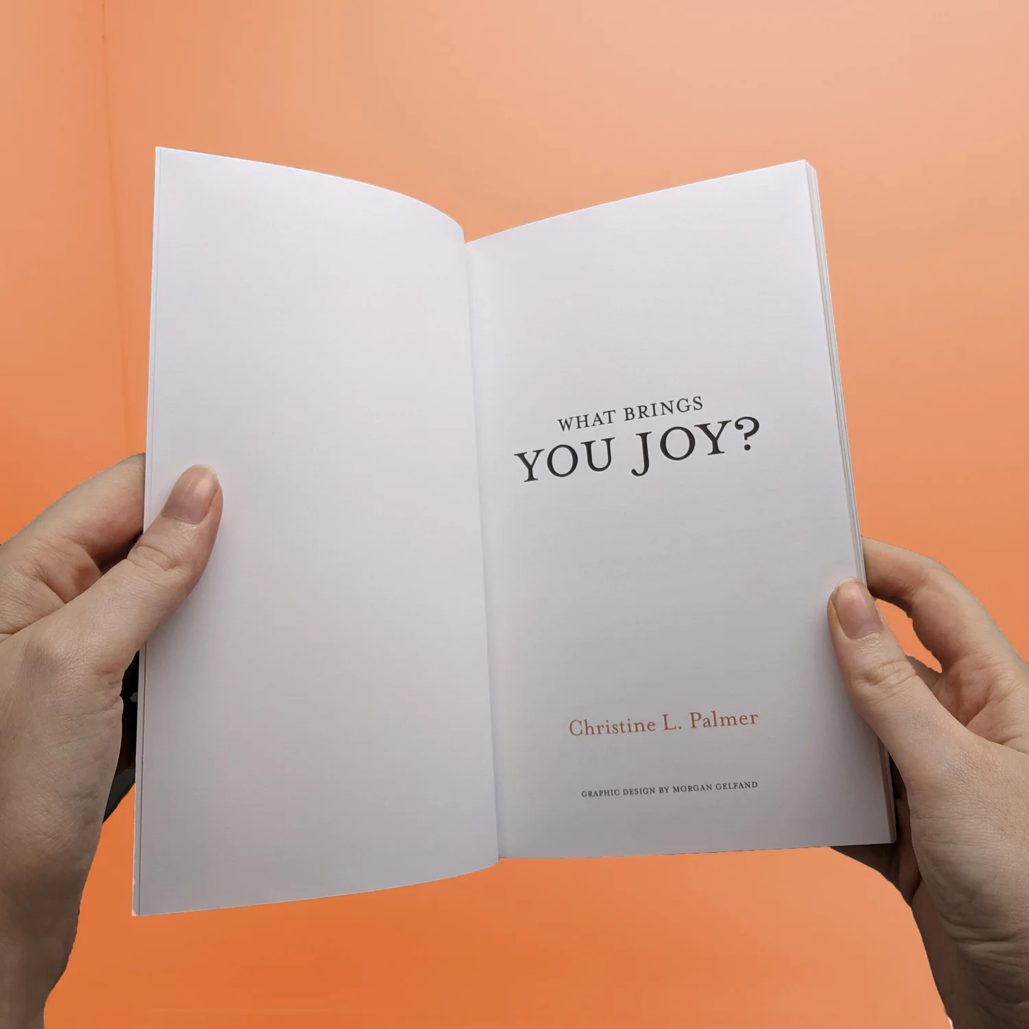 What Brings You Joy? — Morgan Gelfand