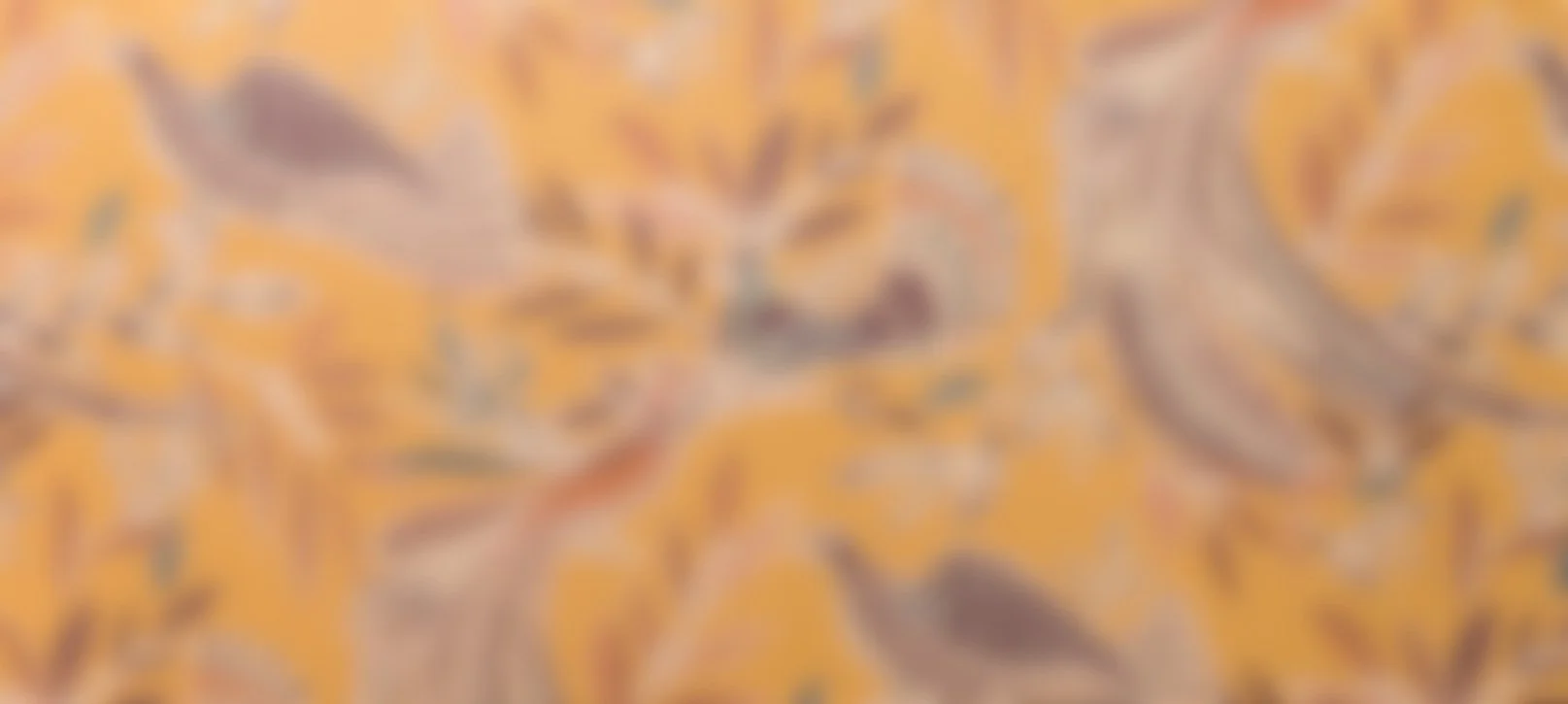 fundo.jpg