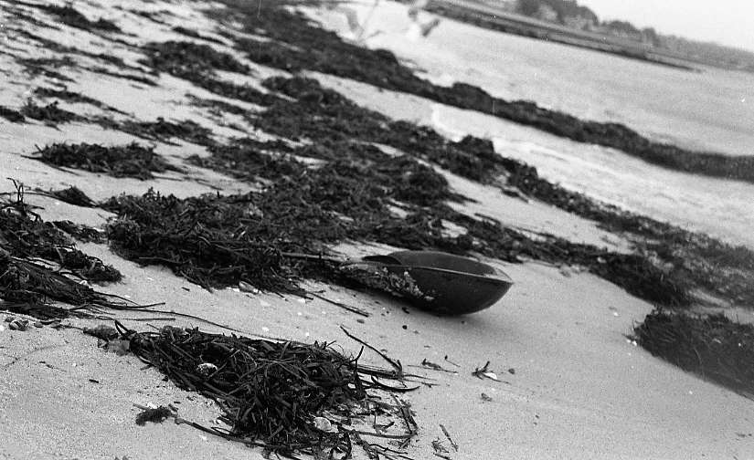 nyc film scans017.jpeg