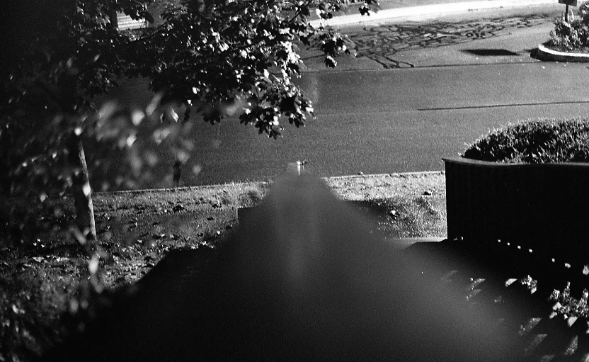 nyc film scans022.jpeg