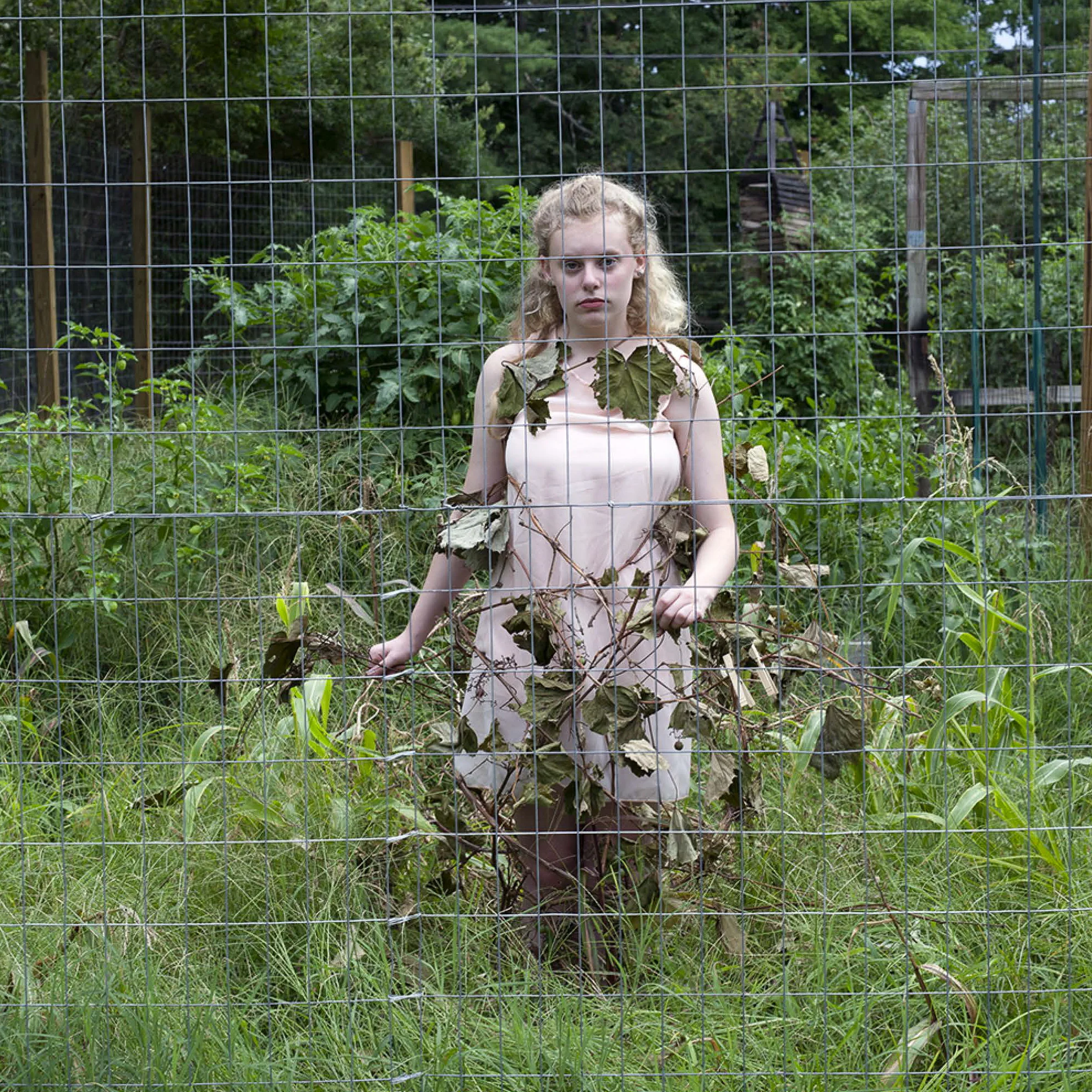 Vine, part of The Elizabeth Series by Nancy McEntee