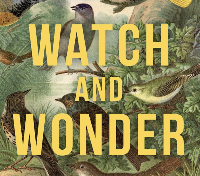 Birding as Spiritual Practice Book Discussion