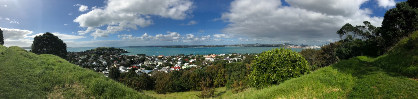 image1.jpeg