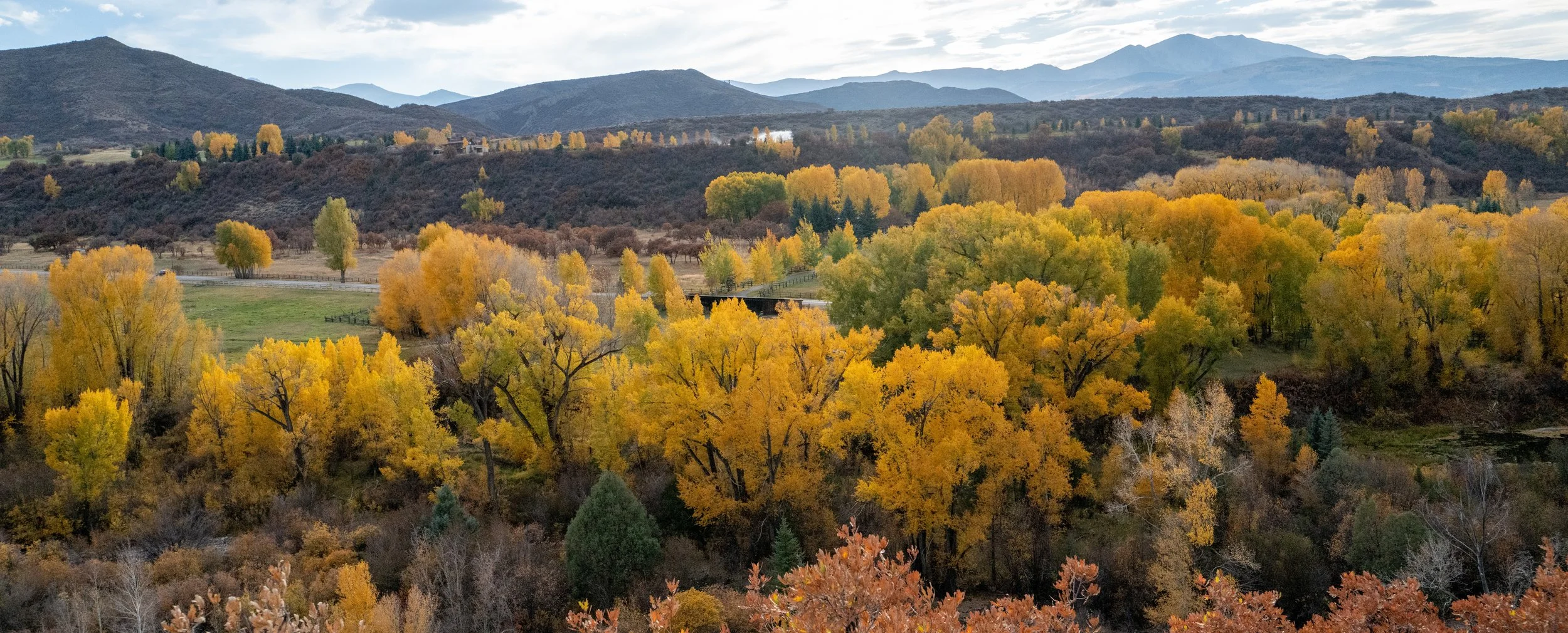 Aspen Turning, Watson Divide 20x49.5.jpg
