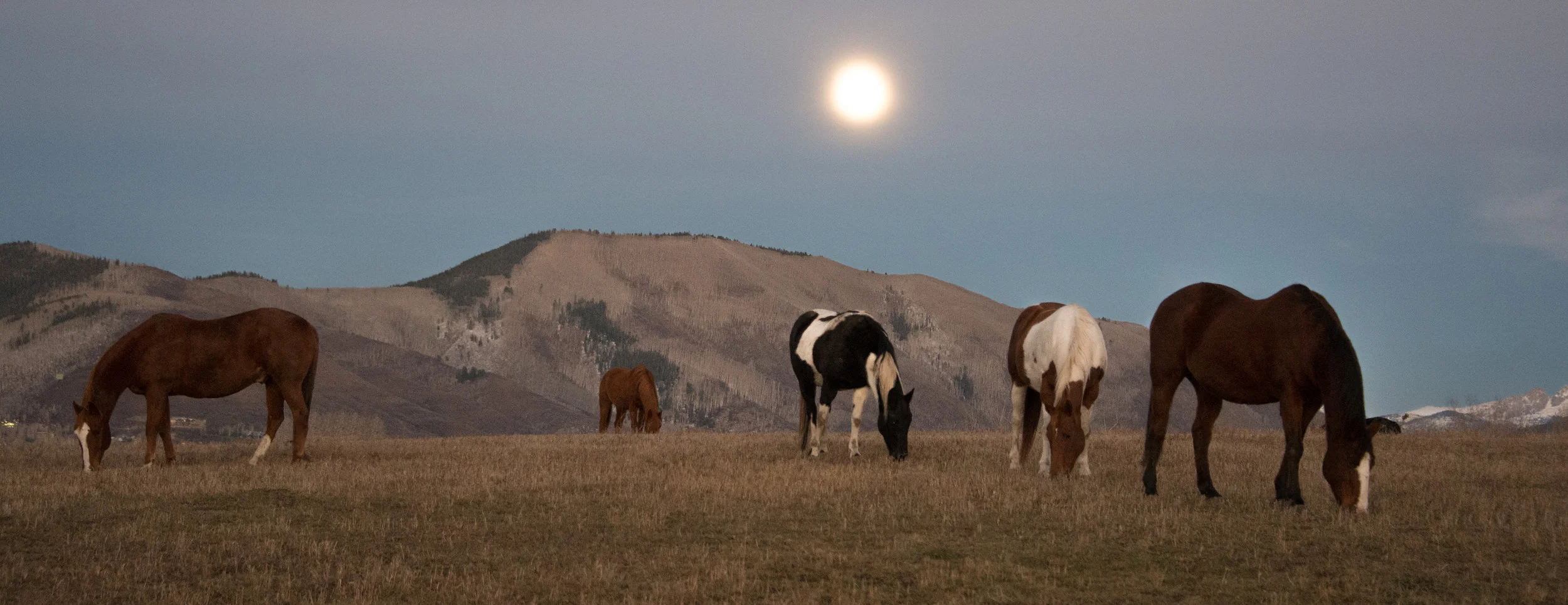 Moonrise, Owl Creek Rd, Aspen