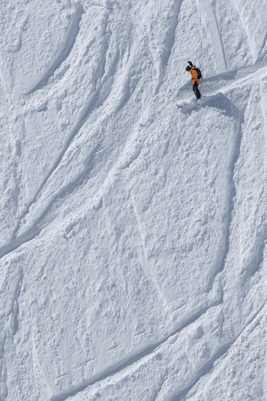 Lone Skier #3