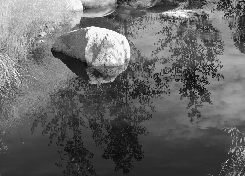 L1001692-Edit-Edit.jpg