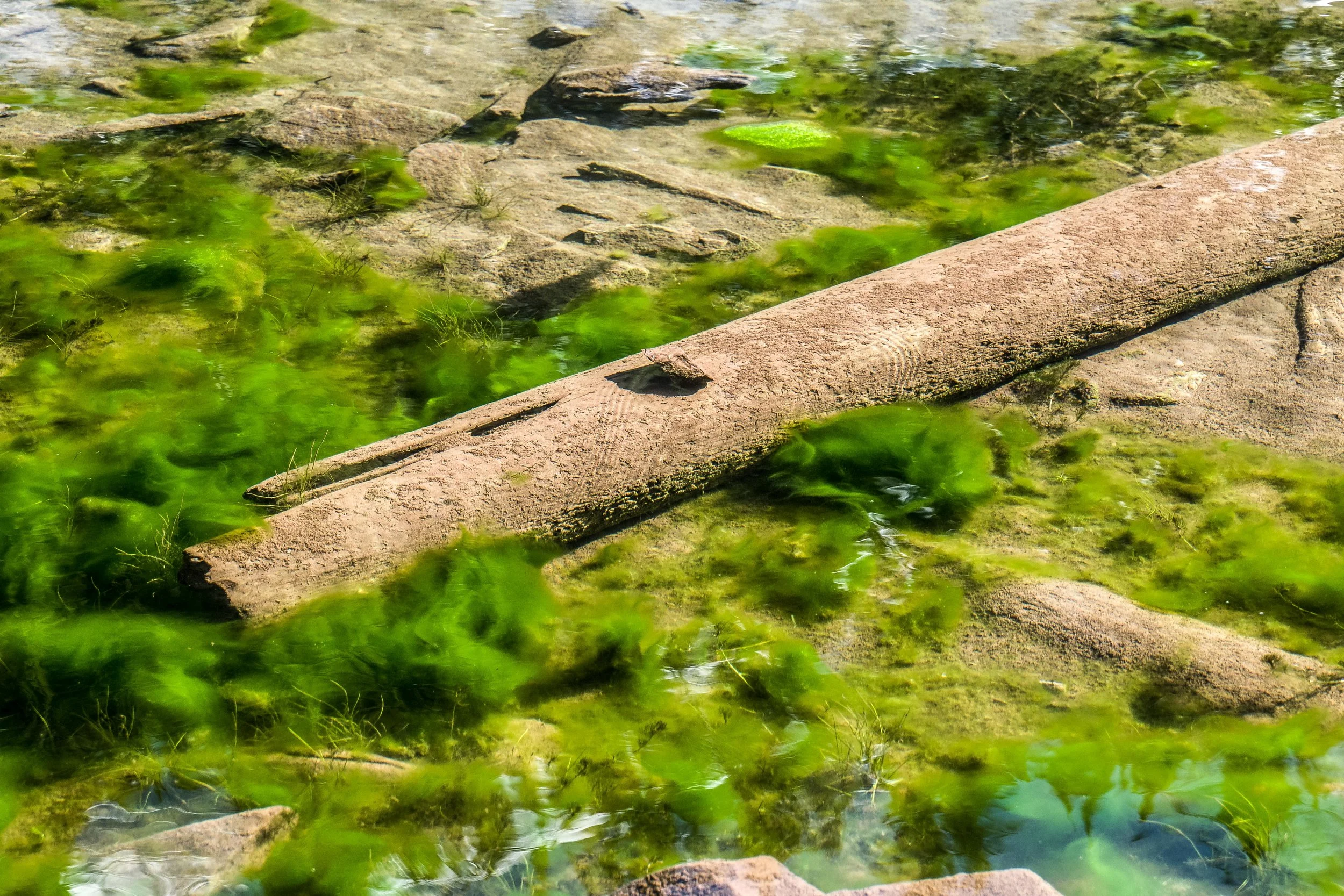 Submersion