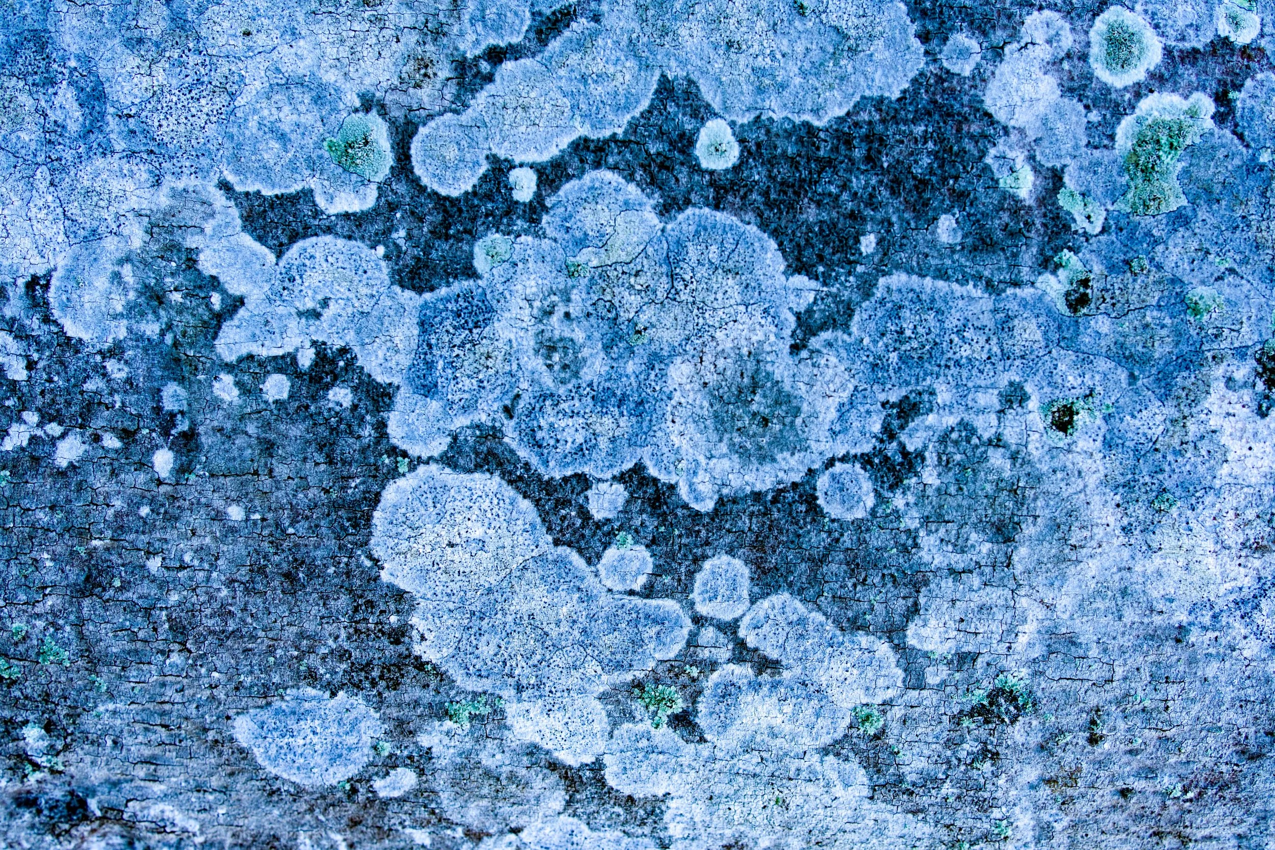 Blue Notes 