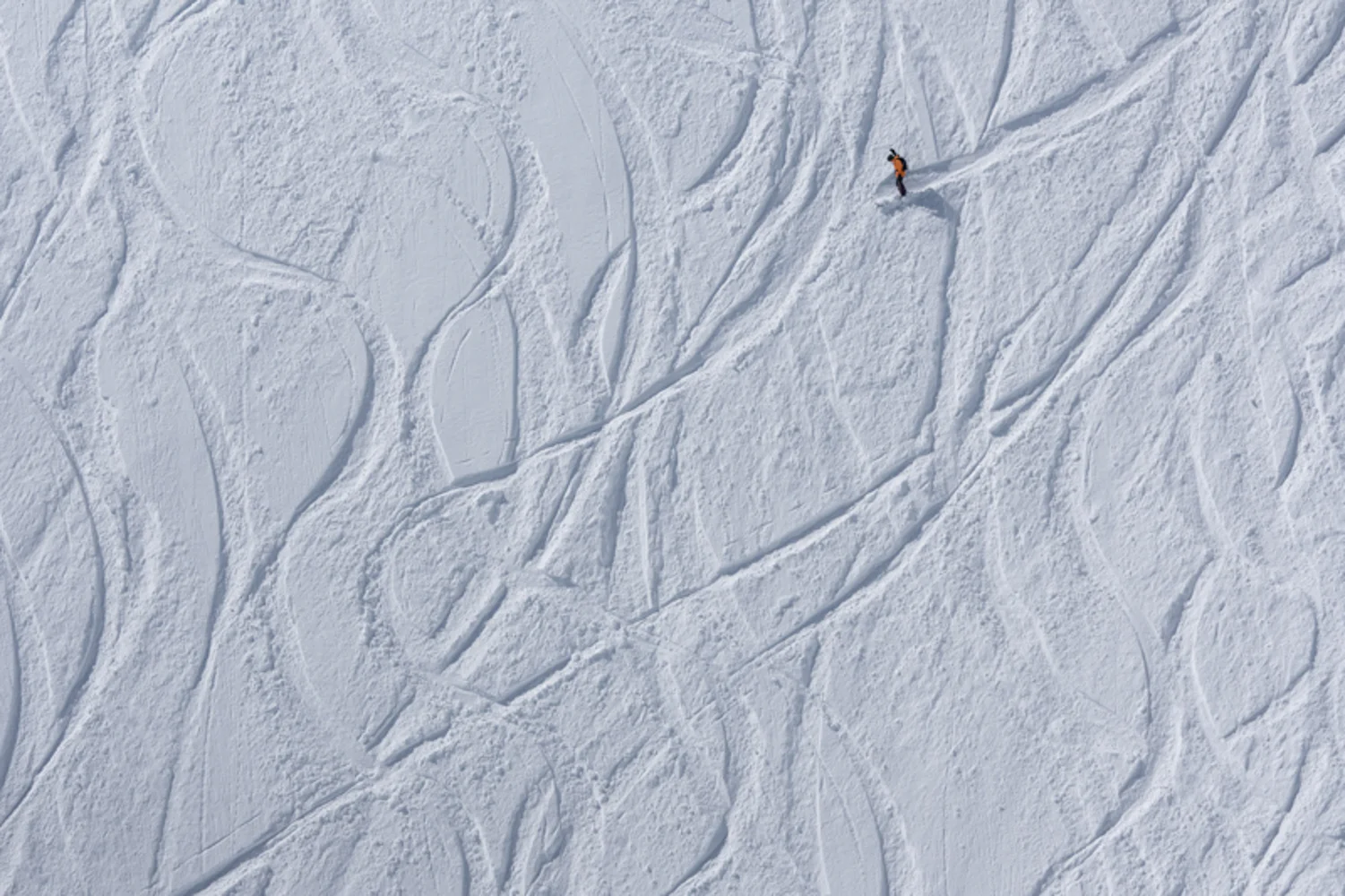 Lone Skier #4