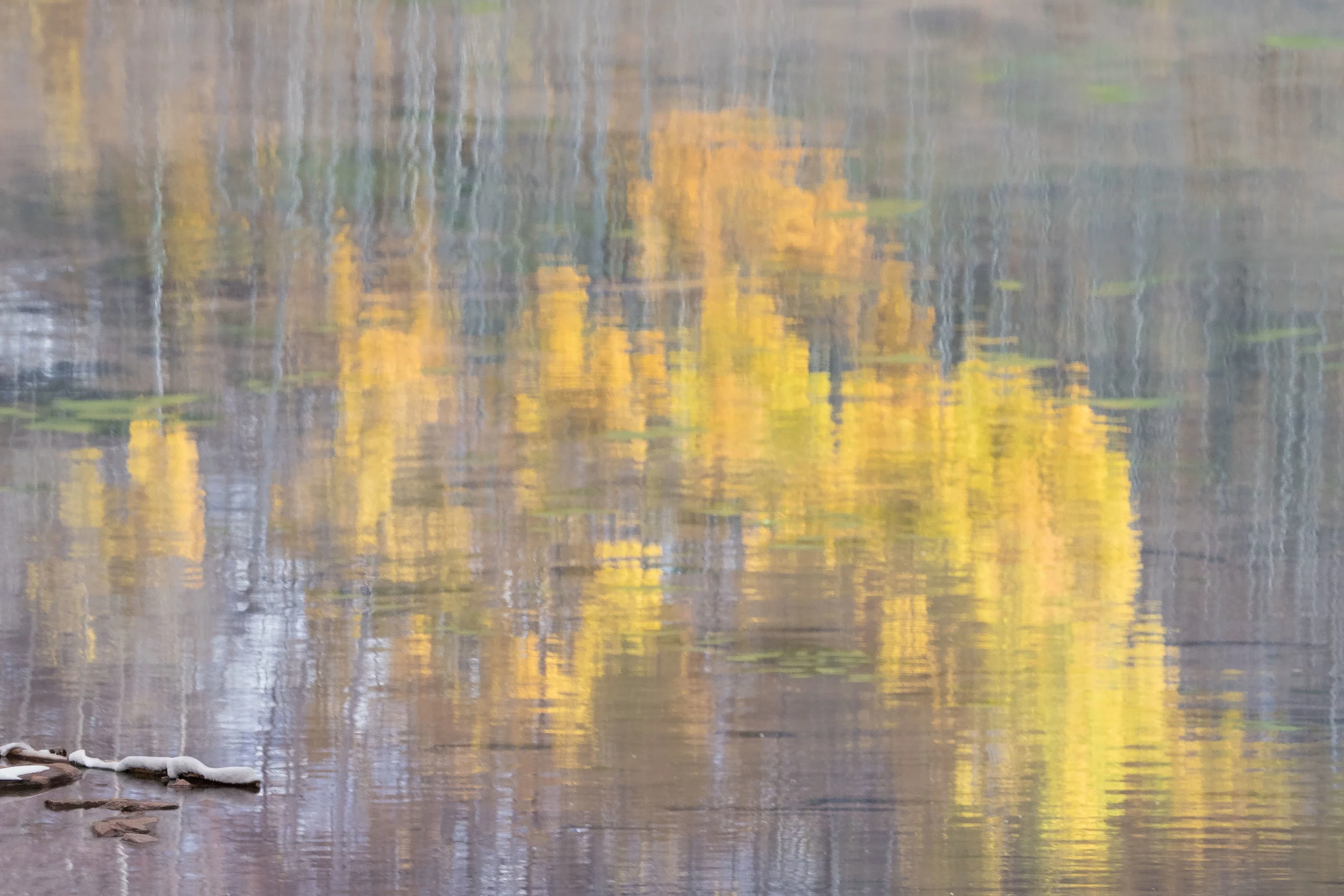 Aspen Tree Reflections, Maroon Lake, CO