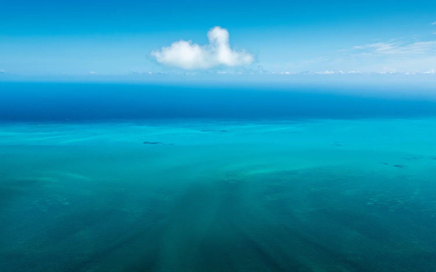 Sea of Tranquility
