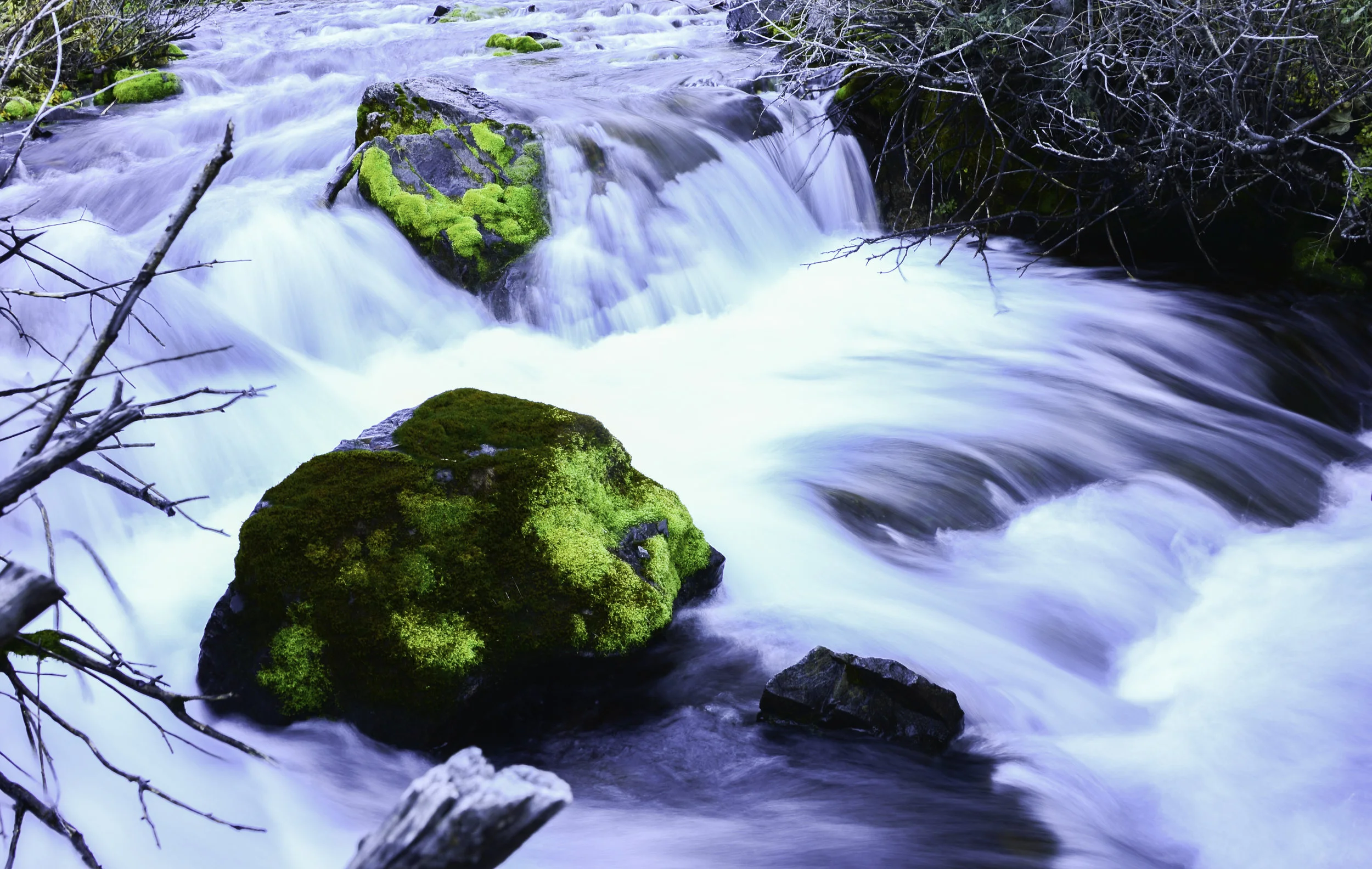 Maroon Creek, Aspen-Rock Mountain Roar-DSC_0485-3.jpg