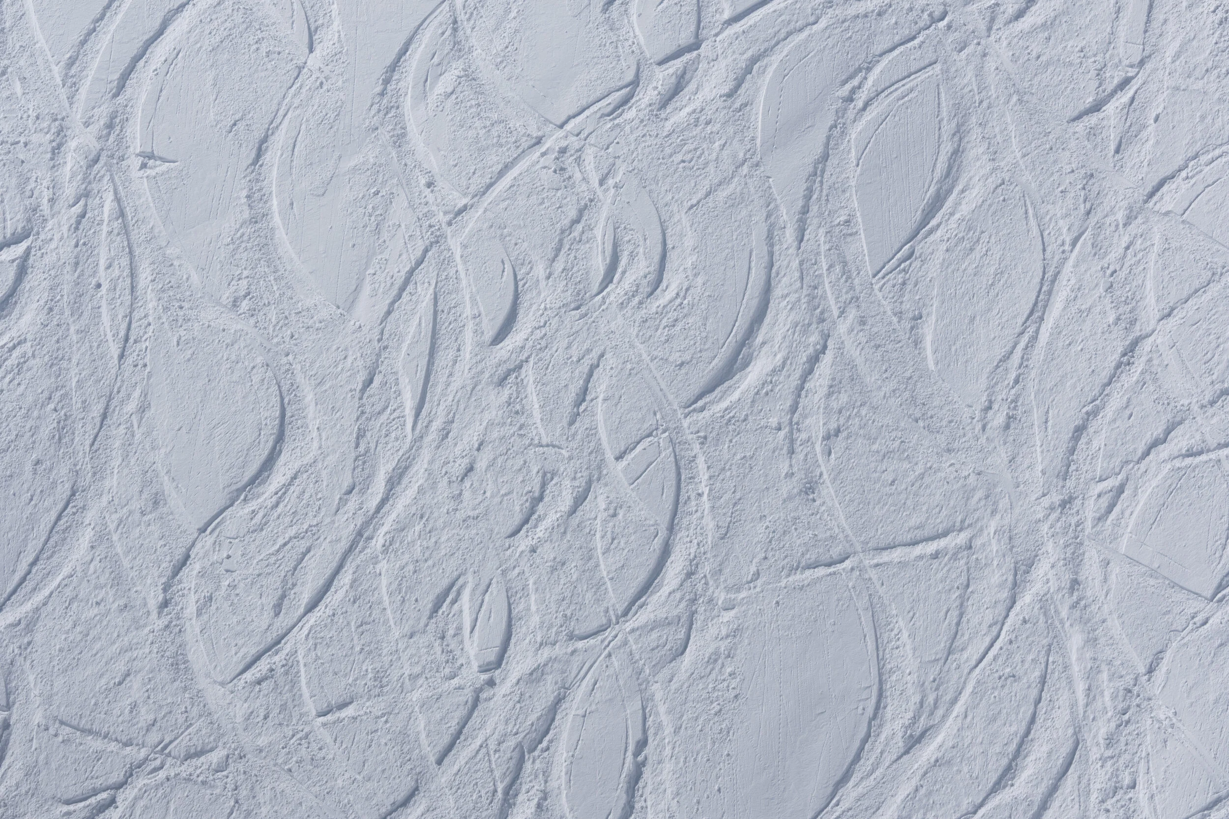 L1020783.jpg